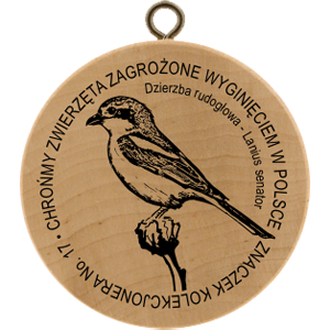 No. 50017 - Kolekcjonera No.17 Chrońmy zwierzęta zagrożone wyginięciem w Polsce - Dzierzba rudogłowa