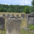No. 787 - Cmentarz Żydowski w Żarkach No. 787 - Cmentarz Żydowski w Żarkach